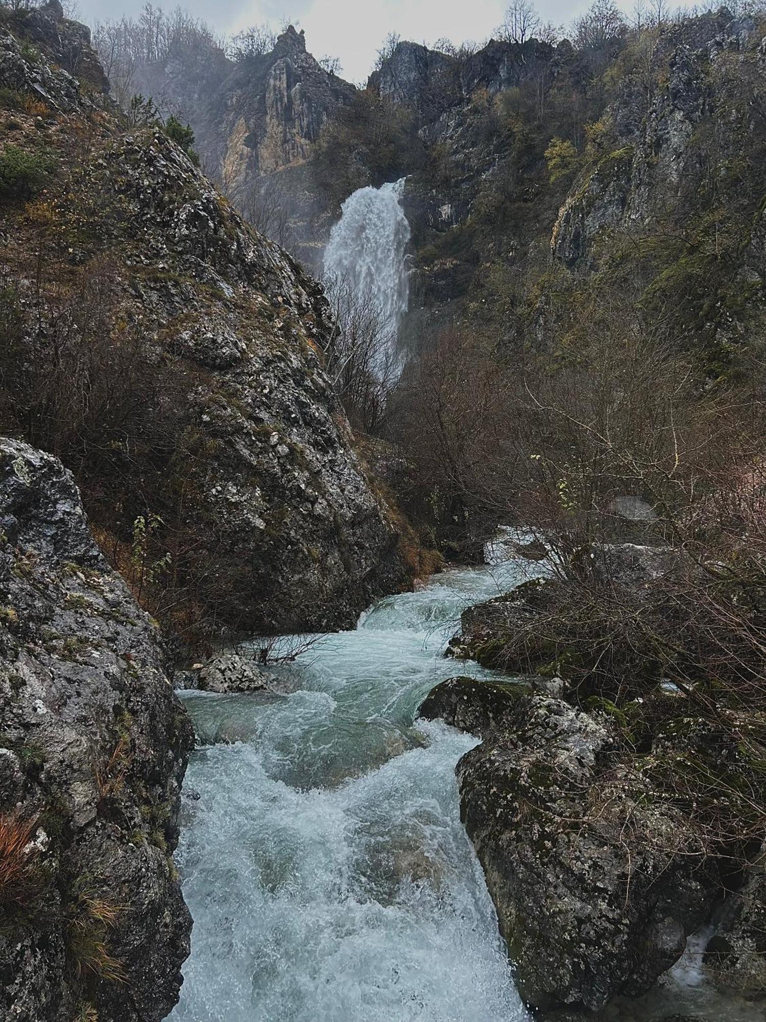 Basovic *