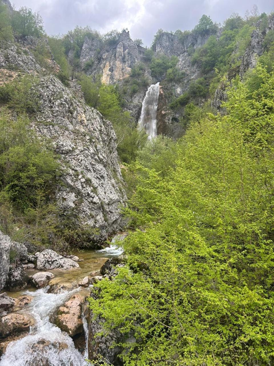 Basovic